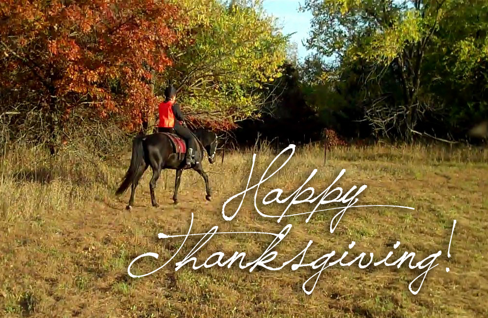 Thanksgiving day chicago 2024