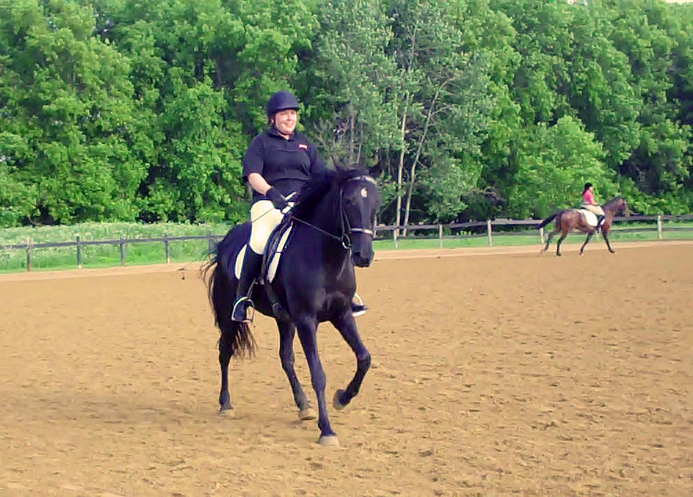 Gaited Dressage From First Level to Intro? Naturally Gaited Horse