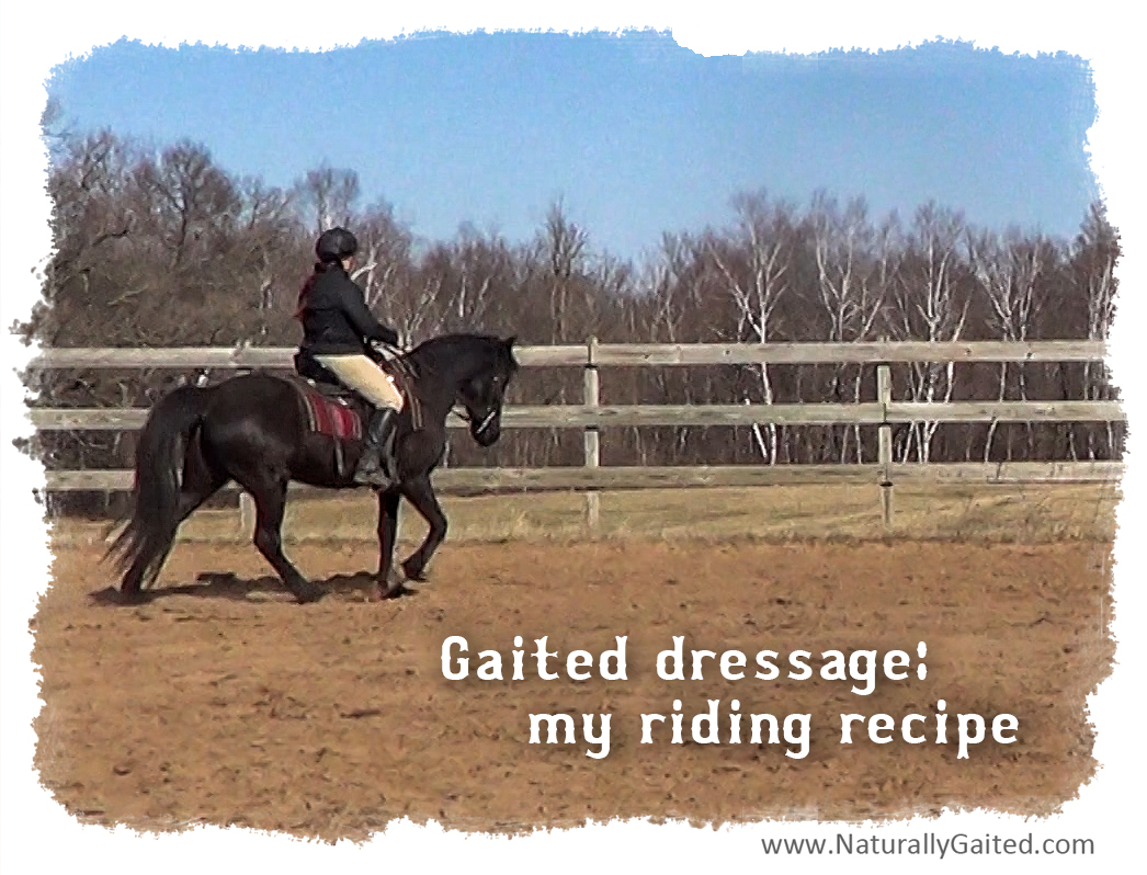 Gaited Dressage Riding Recipe Naturally Gaited Horse