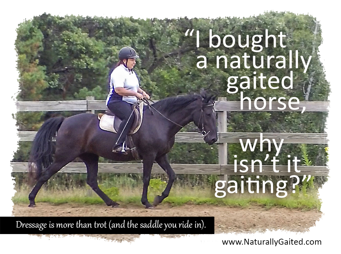 I bought a naturally gaited horse, why isn't it gaiting? Naturally