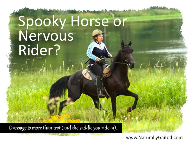 how to bombproof a spooky horse