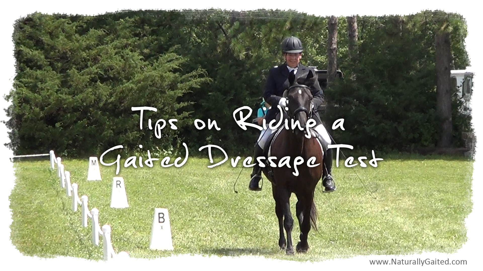 Riding a Gaited Dressage Test Naturally Gaited Horse