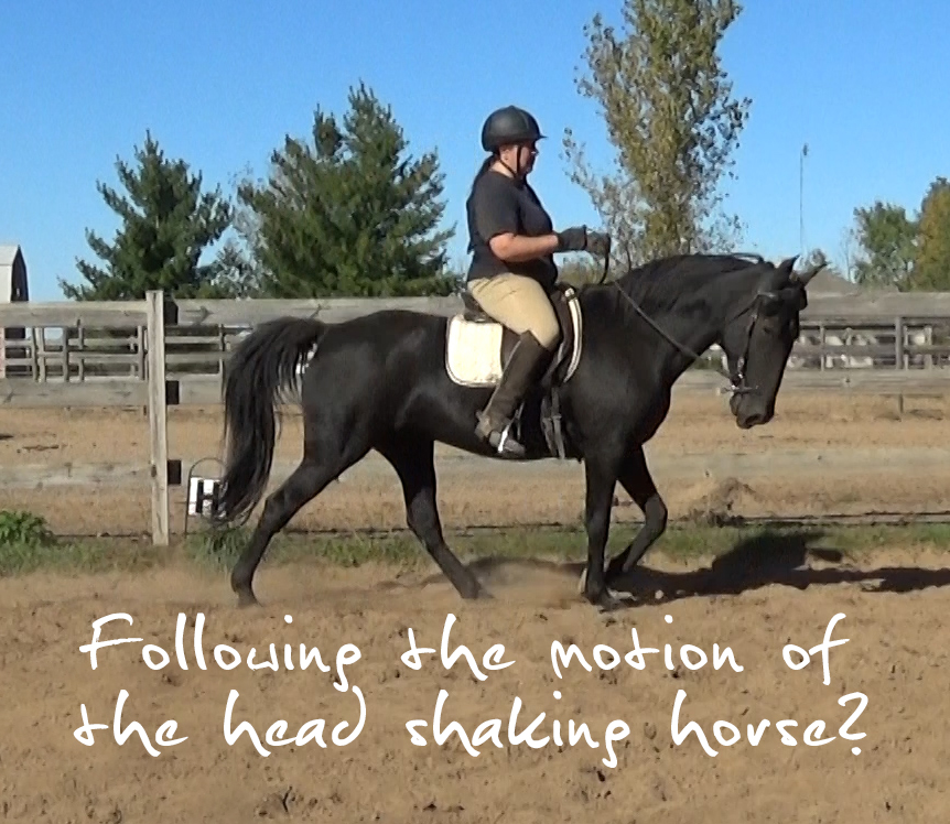 Beginning Lessons in Légèreté Following Hands Naturally Gaited
