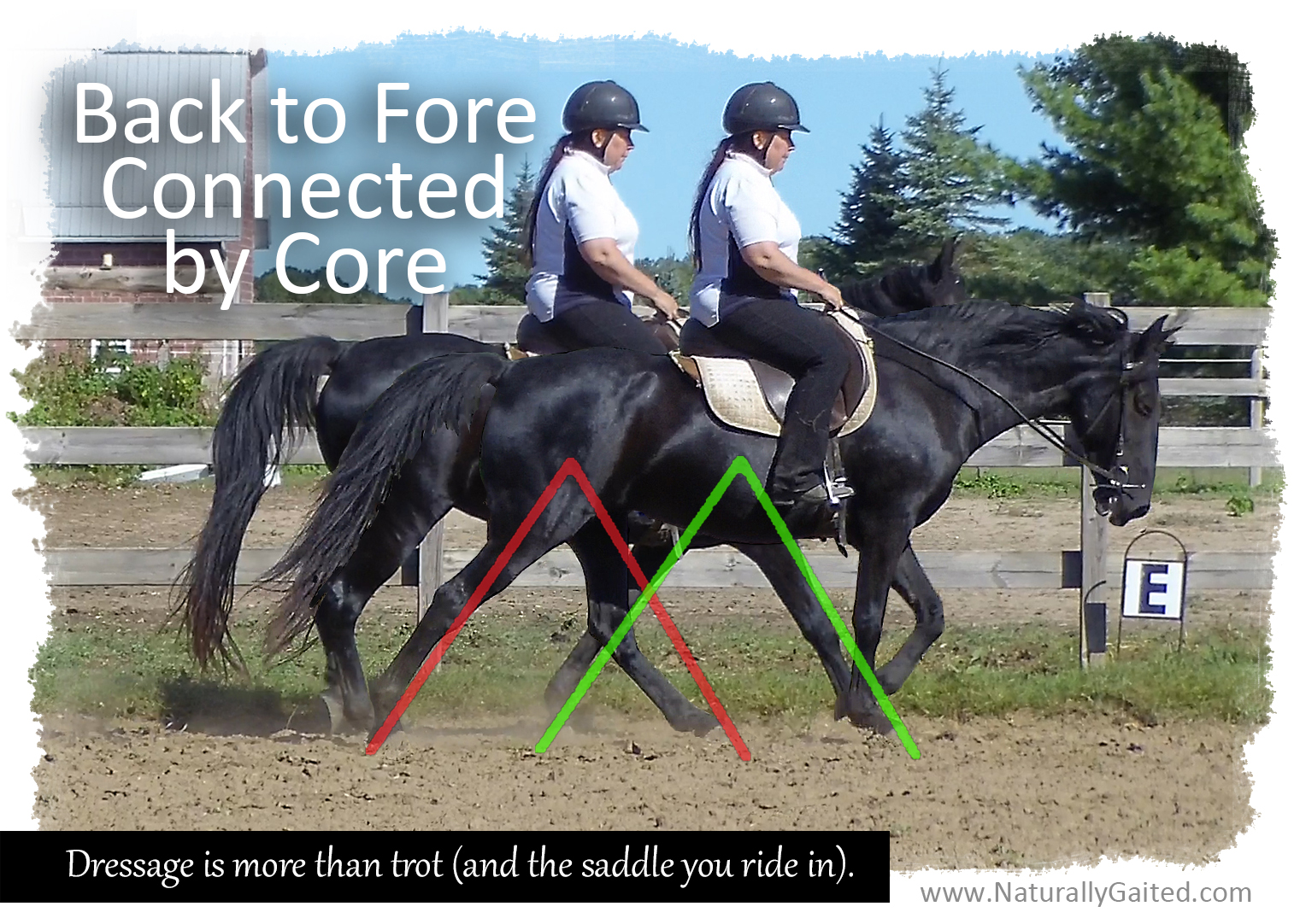 Back to fore connected by core to improve natural gait Naturally Gaited
