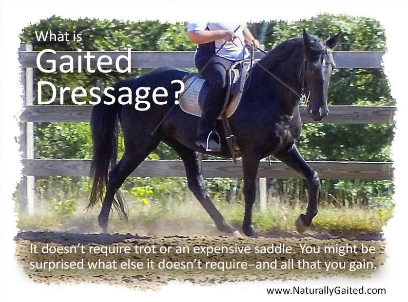 What is Gaited Dressage? Naturally Gaited Horse