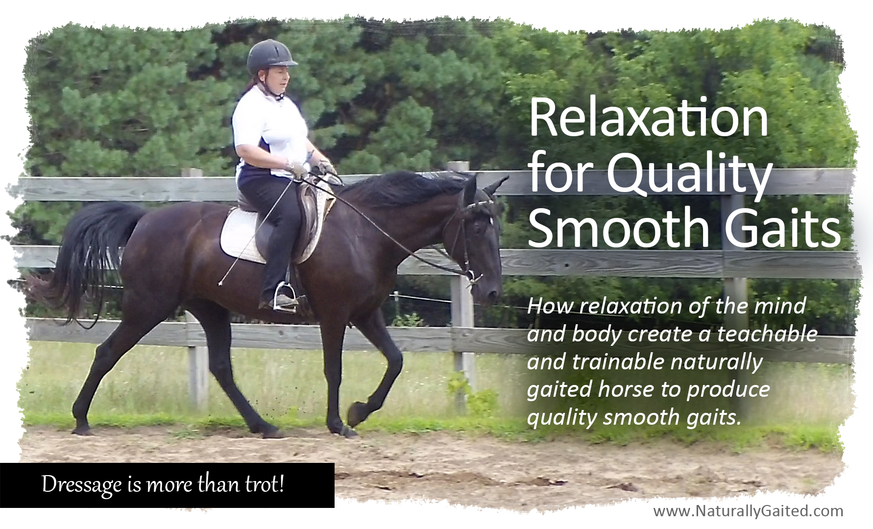 How Relaxation Improves Smooth Gait Naturally Gaited Horse