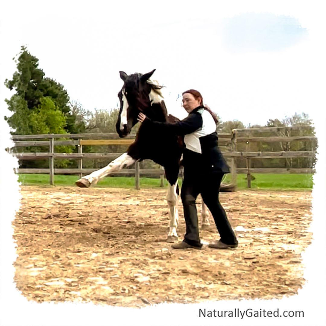libertyandjambettewiththegaitedhorse Naturally Gaited Horse