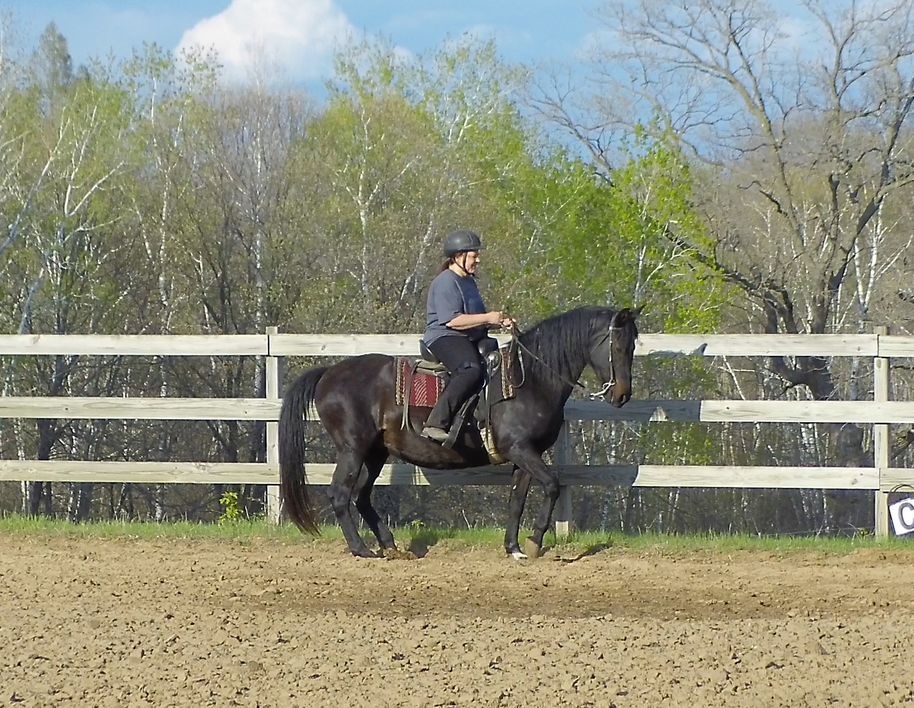 051219 Lady with Imus Bit reinback2 Naturally Gaited Horse