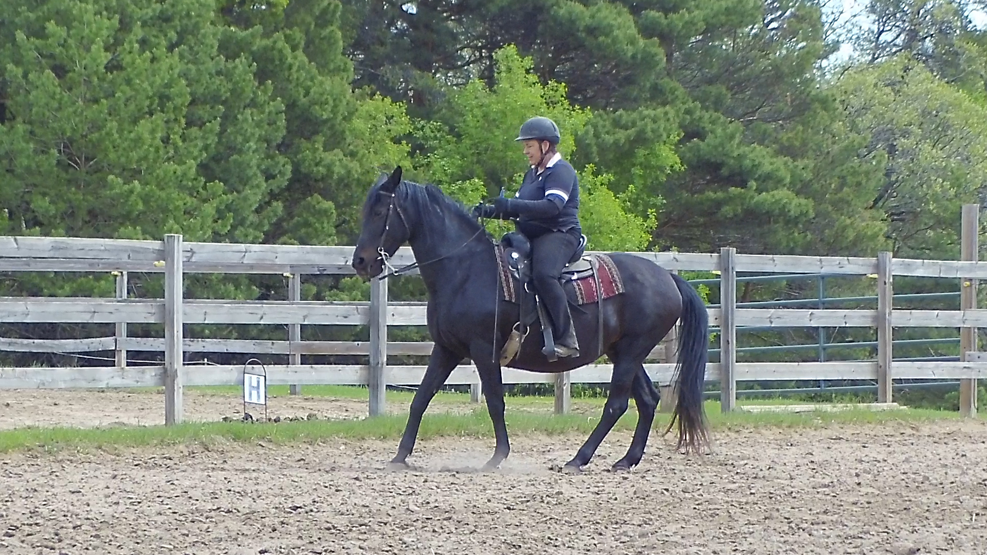 051719 Lady with Imus Bit.reinback Naturally Gaited Horse