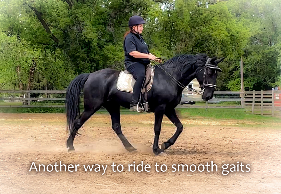 Another Way to Ride to Smooth Gaits Naturally Gaited Horse